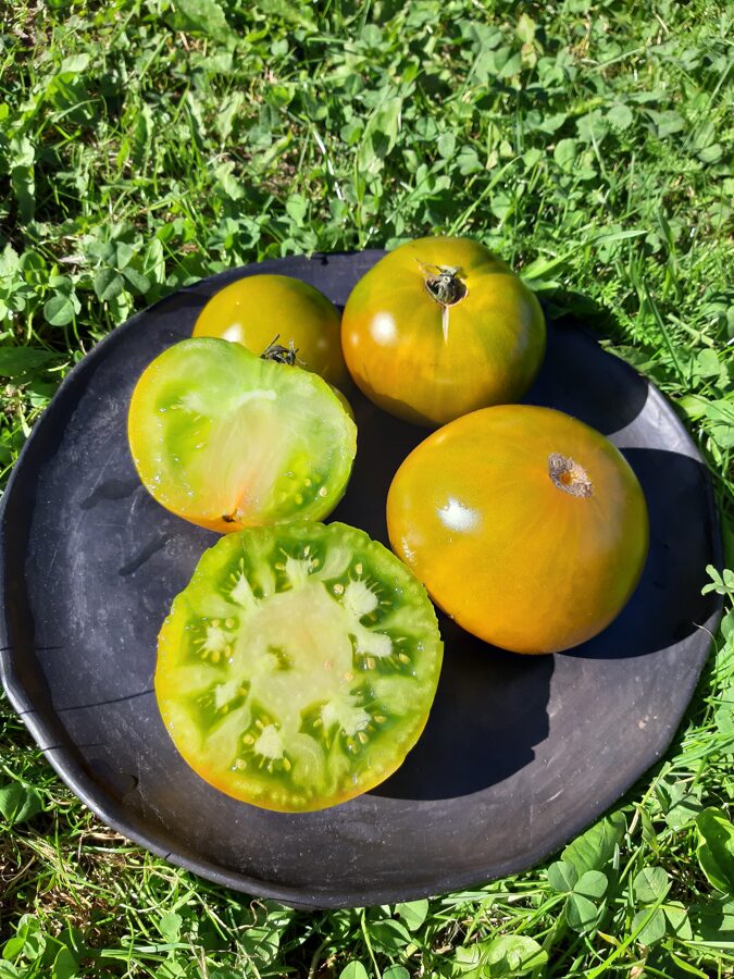 Verte de Huy tomātu sēklas ( 10 gb) 
