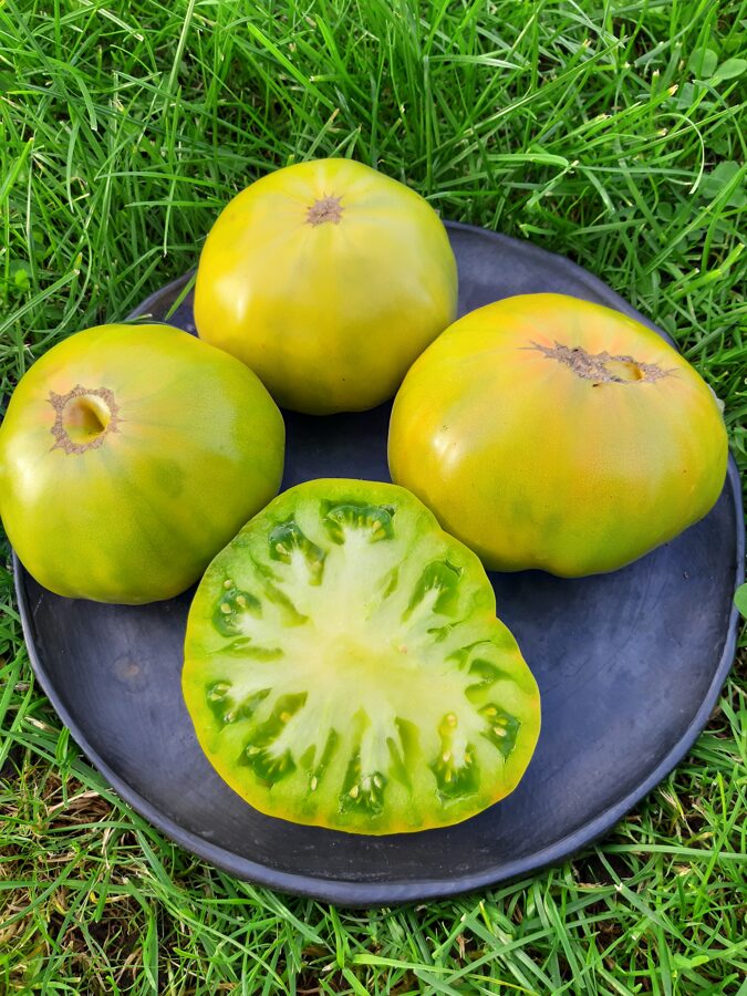 Dwarf Emerald Gigant tomātu sēklas (10 gb) 