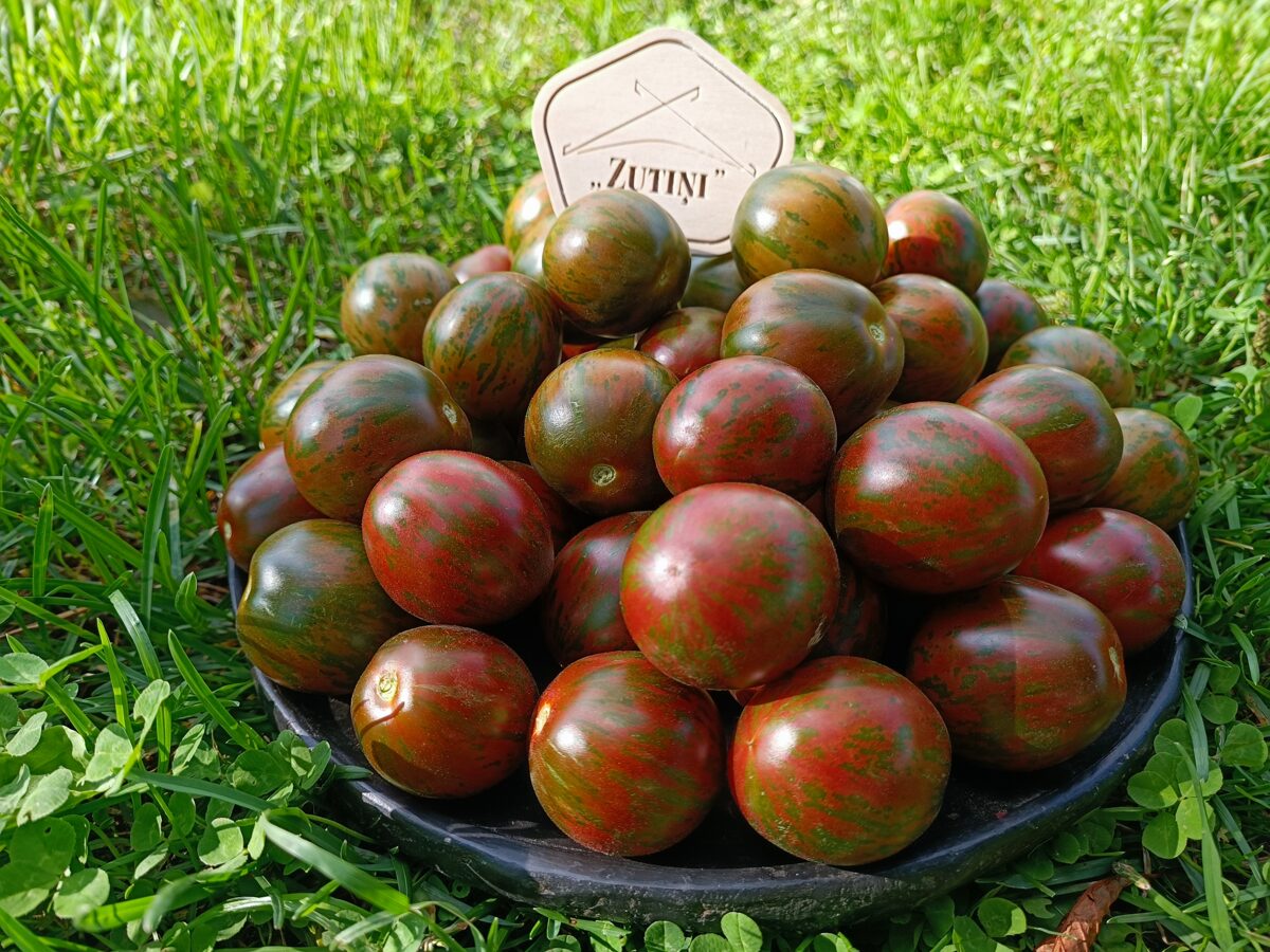 Super Exotic (10 tomātu sēklas)