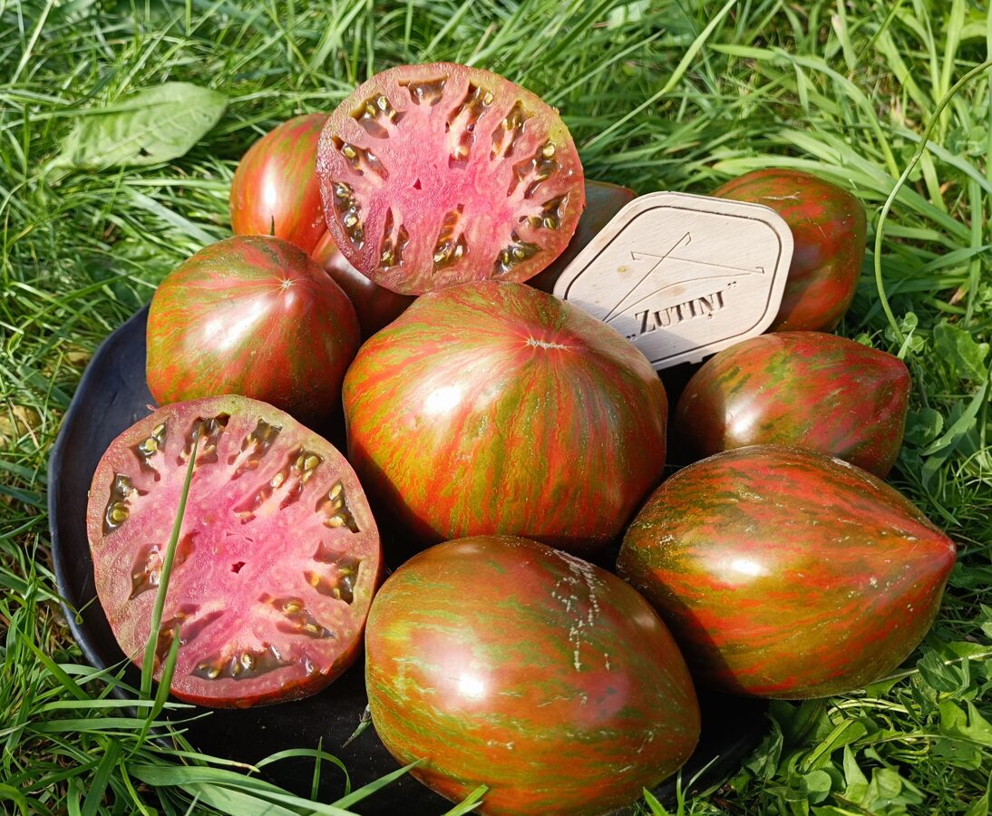Bogatir Ilyusha (10 tomātu sēklas) 