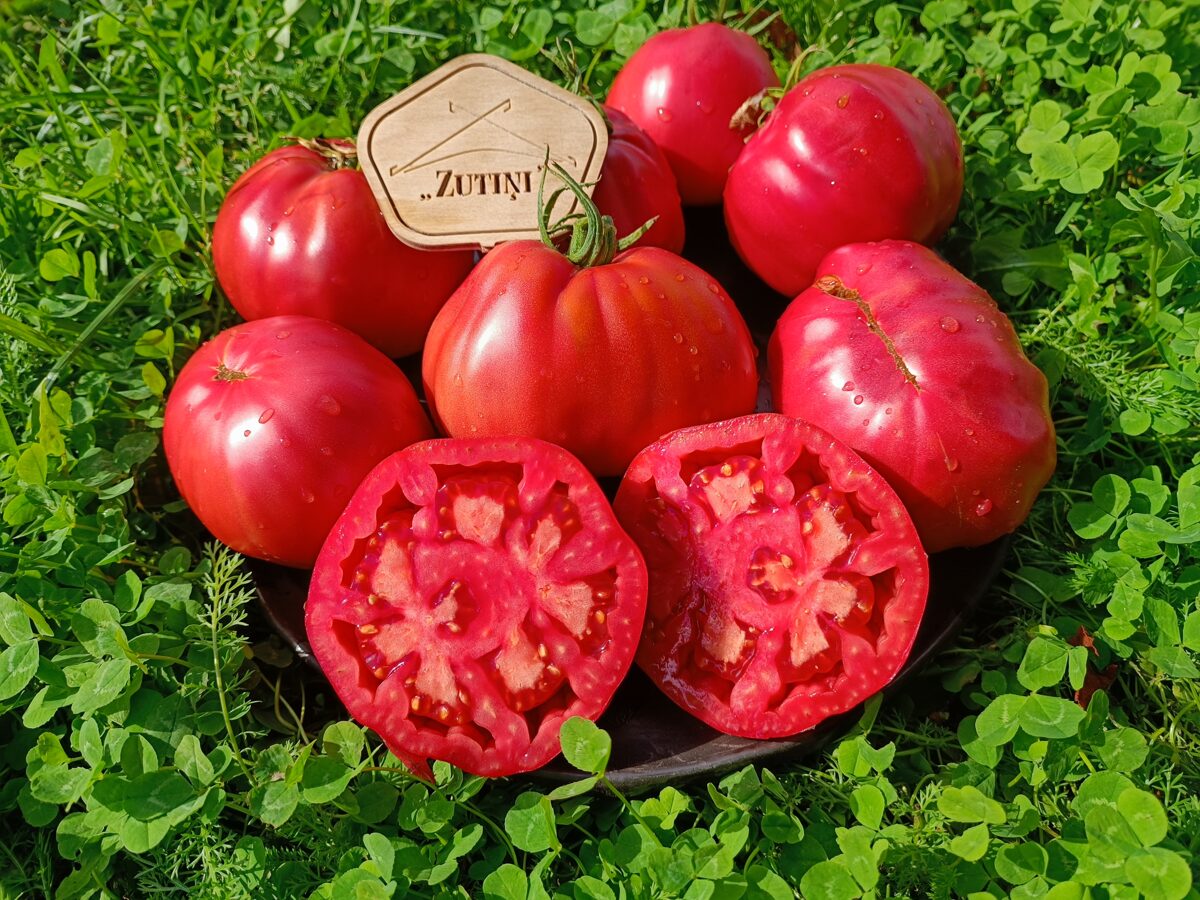 Grosse de Marais (10 tomātu sēklas)
