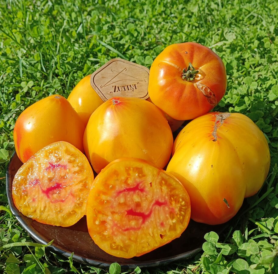 Pomerančs ( 10 tomātu sēklas)