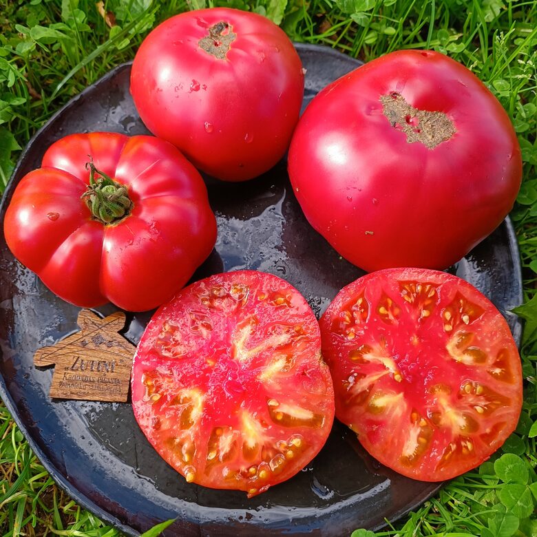 Atlantīda (10 tomātu sēklas