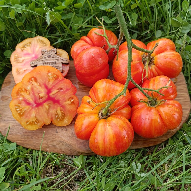 Domaine de Saint Jean de Beauregard (10 tomātu sēklas)