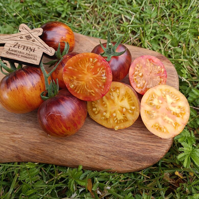 Cosmic Burst ( 10 tomātu sēklas) 