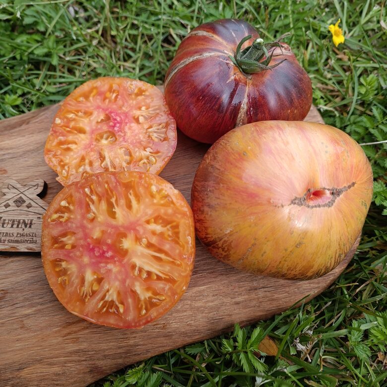 Persuasion ( 10 tomātu sēklas)