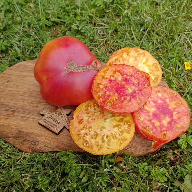 Jeruzalemes gigants (10 tomātu sēklas)