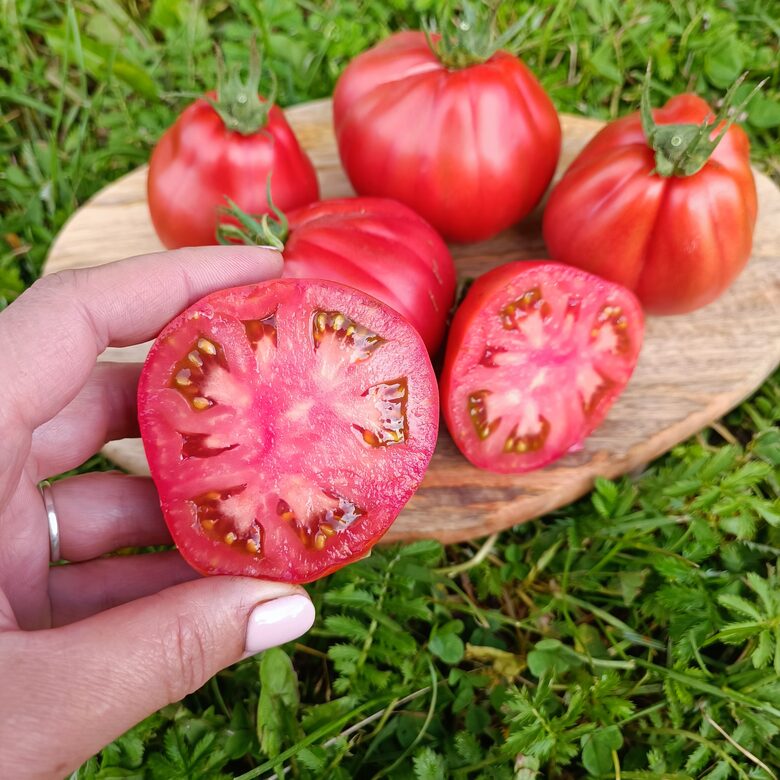 Puzata Hata ( 10 tomātu sēklas)