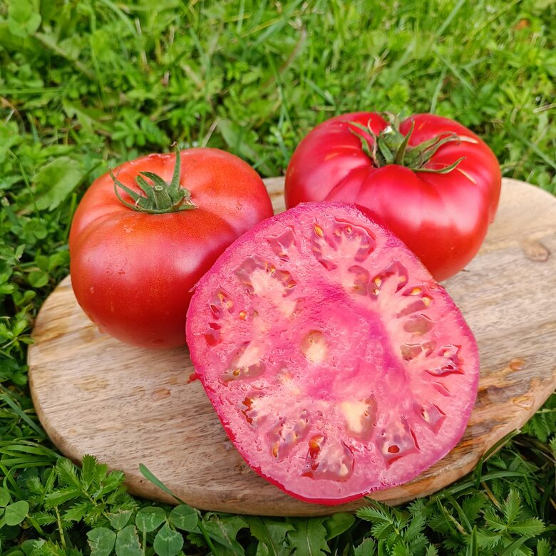 Rebecca Sebastian Bull's bag (10 tomātu sēklas)