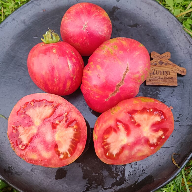 Pink furry Boar ( 10 tomātu sēklas)