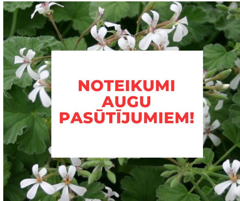 JAUNI Augu pasūtīšanas noteikumi!