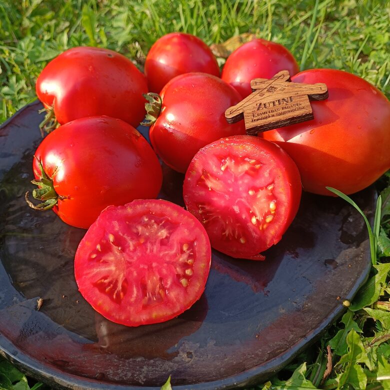 Brašulis ( 10 tomātu sēklas)