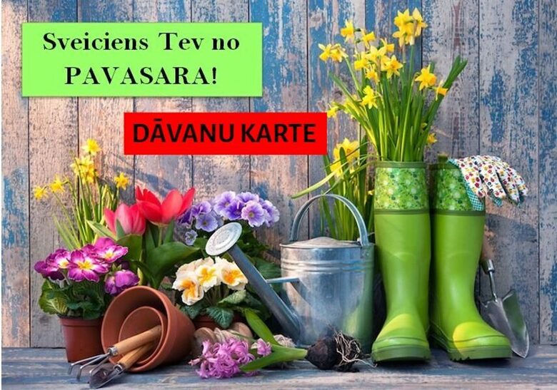 DĀVANU KARTE - 30 EUR