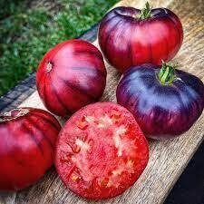 Siberian tiger Claws ( 10 sēklas) (sel. Marks Makaslins)