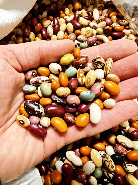 Pupiņu mix " JAMPADRACIS" mazpaciņa