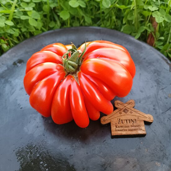 Amerikāņu ribotais ( tulk. no American Ribbed; 10 tomātu sēklas)