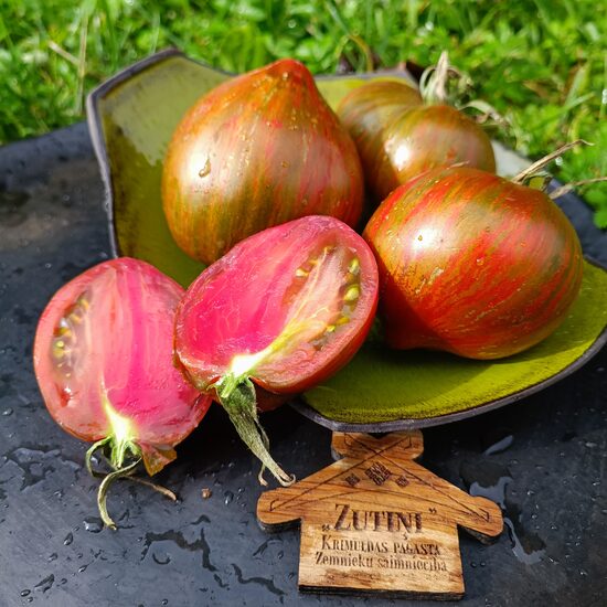 Sofia's Magic Rainbow ( 10 tomātu sēklas)