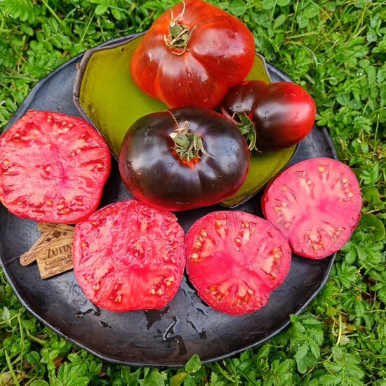 Ozark Sunset Red ( 10 tomātu sēklas)