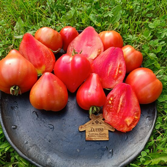 Norwegian Sterling ( 10 tomātu sēklas)