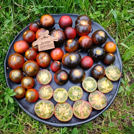 Copper Olive (10 tomātu sēklas)