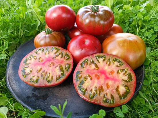 Big Red Stripes ( 10 tomātu sēklas)