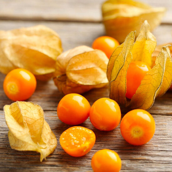 Zemeņu fizālis - 4 stādi AR IEKĻAUTU SŪTĪŠANU MAIJĀ