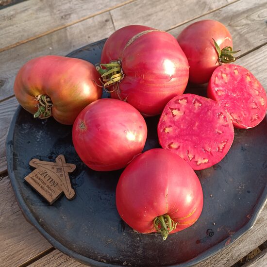 Mazās Minusinskas vērša sirdis ( 10 tomātu sēklas)