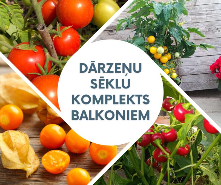 Dārzeņu sēklu komplekts balkonam