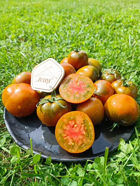 Thornburn's Terracota (10 tomātu sēklas) 