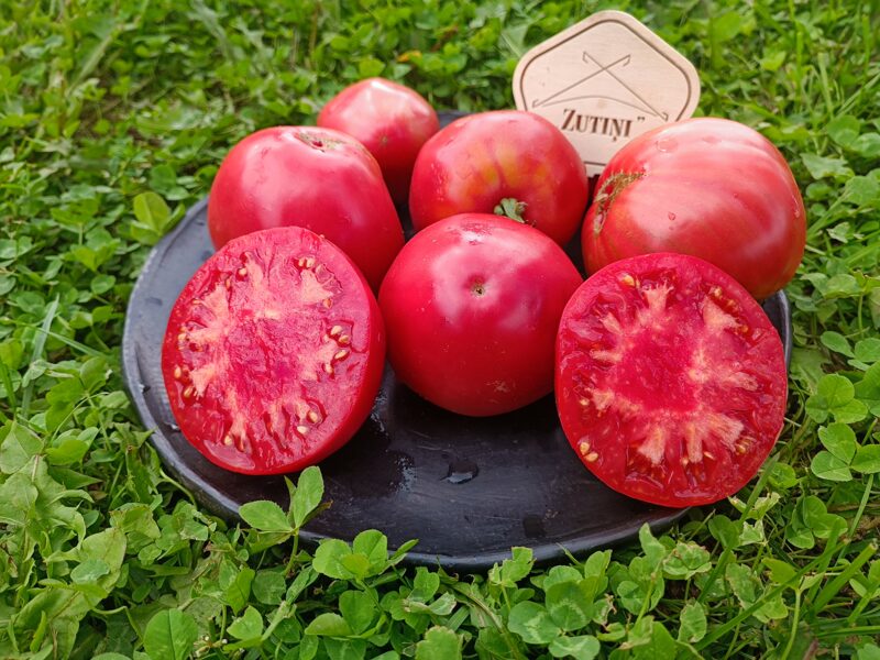 Holandieši ( 10 tomātu sēklas)