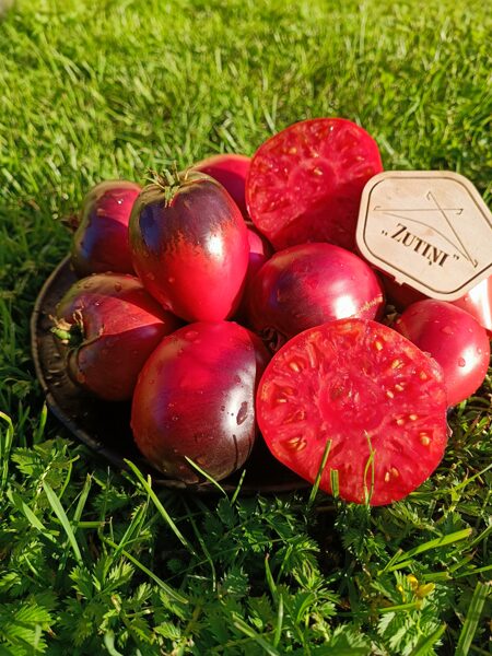 Sergeant Pepper Strawbery (tulk. Zemeņu seržants Pepers)( 10 tomātu sēklas) 