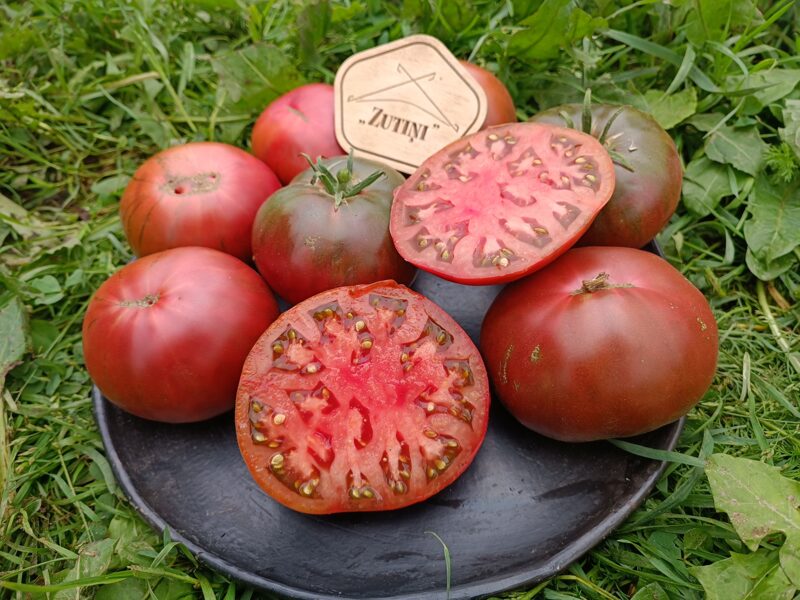 D.B.Cooper (10 tomātu sēklas)