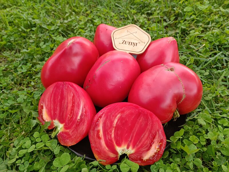 Lietuviešu vērša sirds (10 tomātu sēklas)