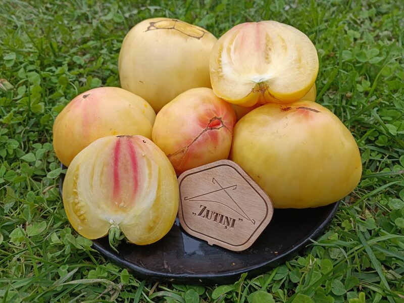 Eva Yellow heart ( 10 tomātu sēklas)