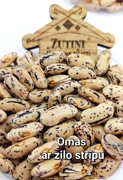 Omas pupas ar zilo svītriņu (Sena pupiņu šķirne) - mazpaciņa