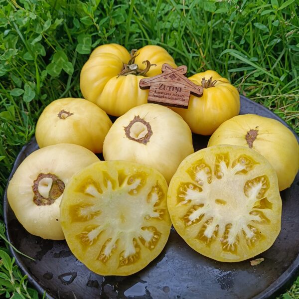 Lielais plombīrs ( tulk. No Big Sundae; 10 tomātu sēklas)