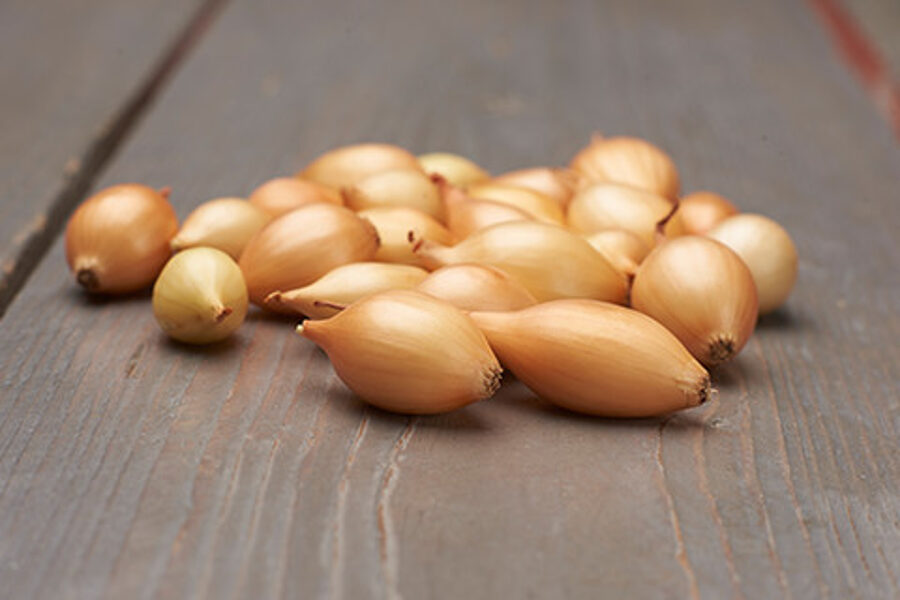 Birnformige sīksīpoli 