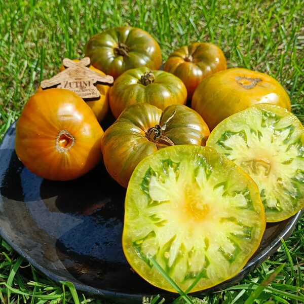 Dzintara istaba (tulk. no Yantarnaya Komnata; 10 tomātu sēklas) 