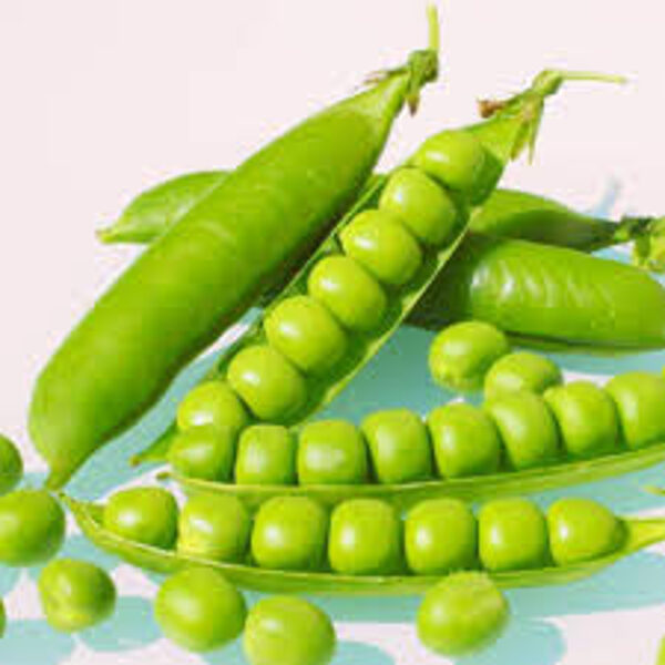 Cukurzirņi Gloriosa - 100gr