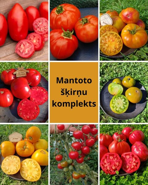 Mantoto tomātu komplekts ( 8 šķirnes pa 10 sēklām) 