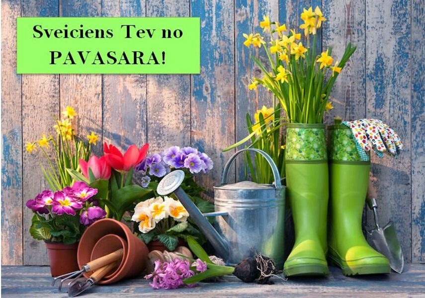 Pievieno kartīti - Pavasara sveicieni!