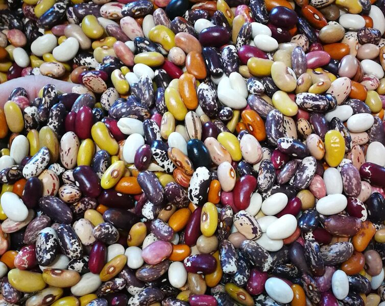 Hei - pievieno šim pasūtījumam arī mūsu pupas!!
