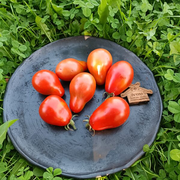 Sarkanās trifeles ( 10 tomātu sēklas) 