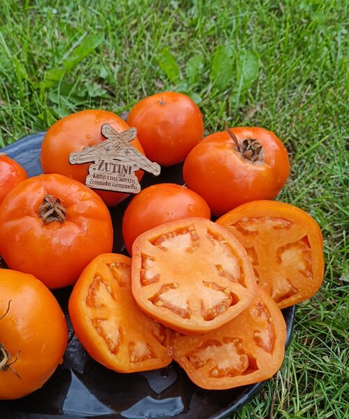 Tangerine ( 10 tomātu sēklas) 