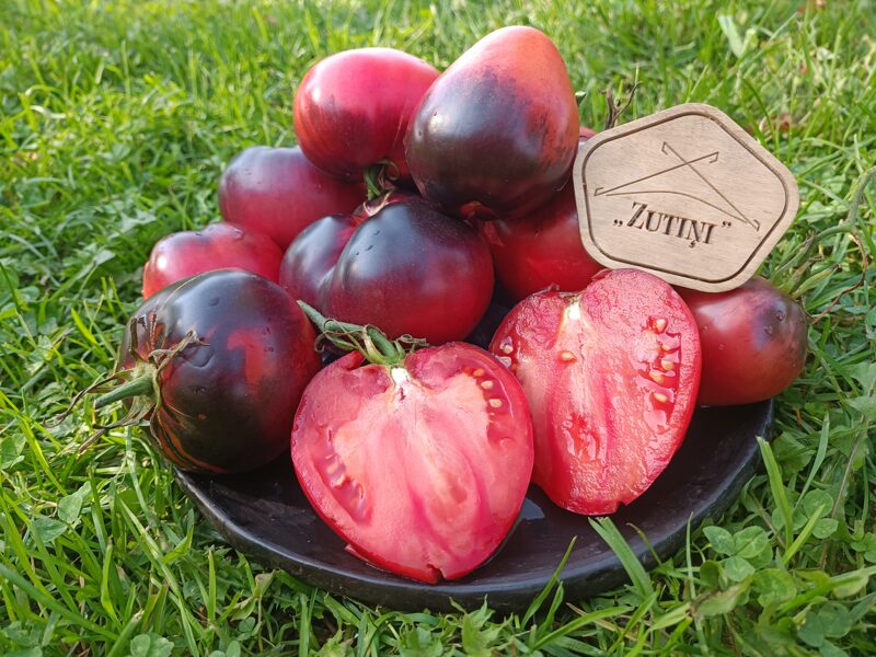 Sergeant Pepper Strawbery bronz (tulk. Bronzas zemeņu seržants Pepers)( 10 tomātu sēklas) 