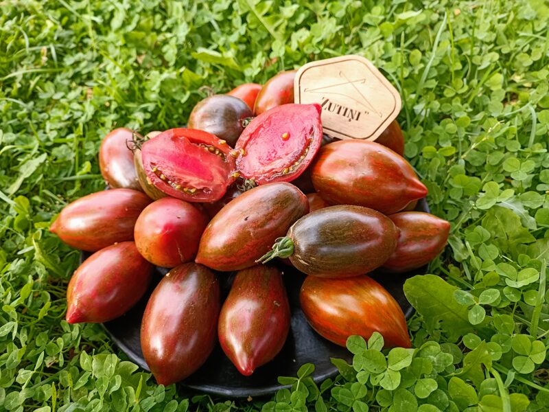 Galaktiskās pūmes ( 10 tomātu sēklas) 