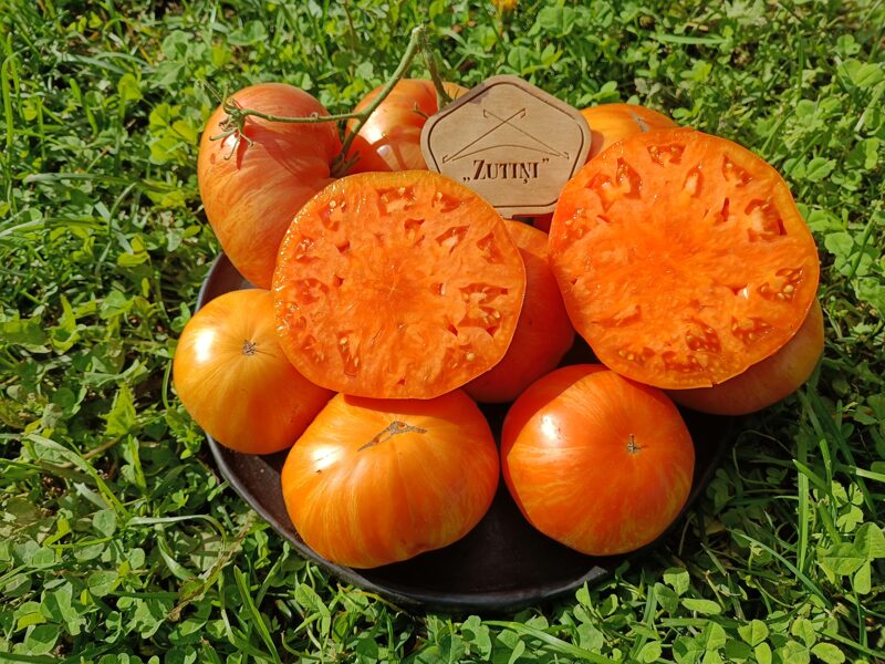 Bīglijs ( orģ. Bigly ; 10 tomātu sēklas)