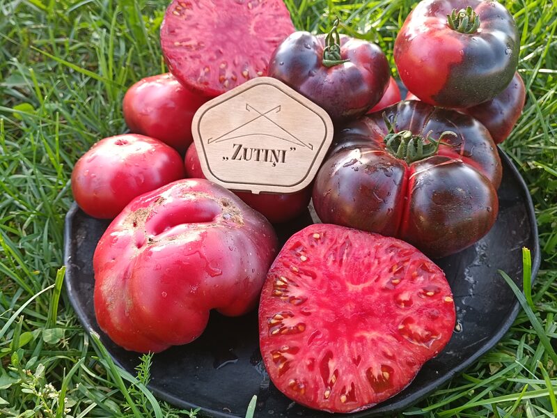 Krievijas melnā roze( tulk.no Black Russian rose; 10 sēklas)
