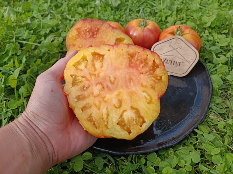 Havajiešu Ananas( tulk. no Hawaiian pineaple; tomātu sēklas (10 gb)