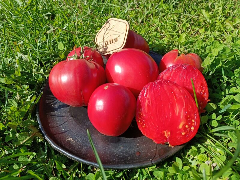 Mūžīgie apslēptie dārgumi (Hidden Treasures of A Timeless 10 tomātu sēklas)